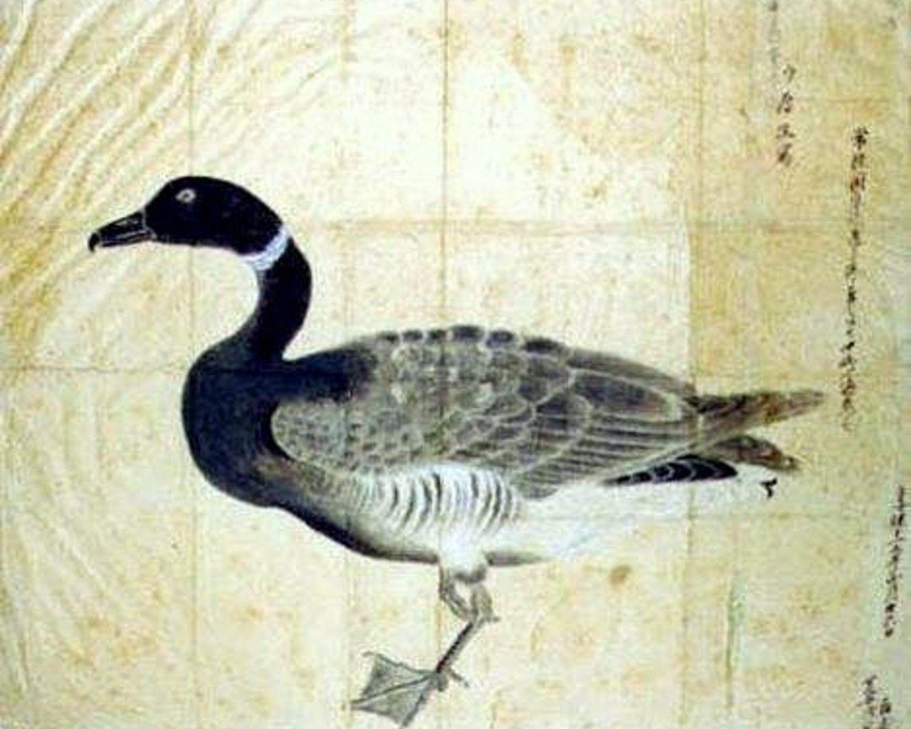 1280x1024 Ducks: Painting School Century Nineteenth Wood Duck Japan Japanese