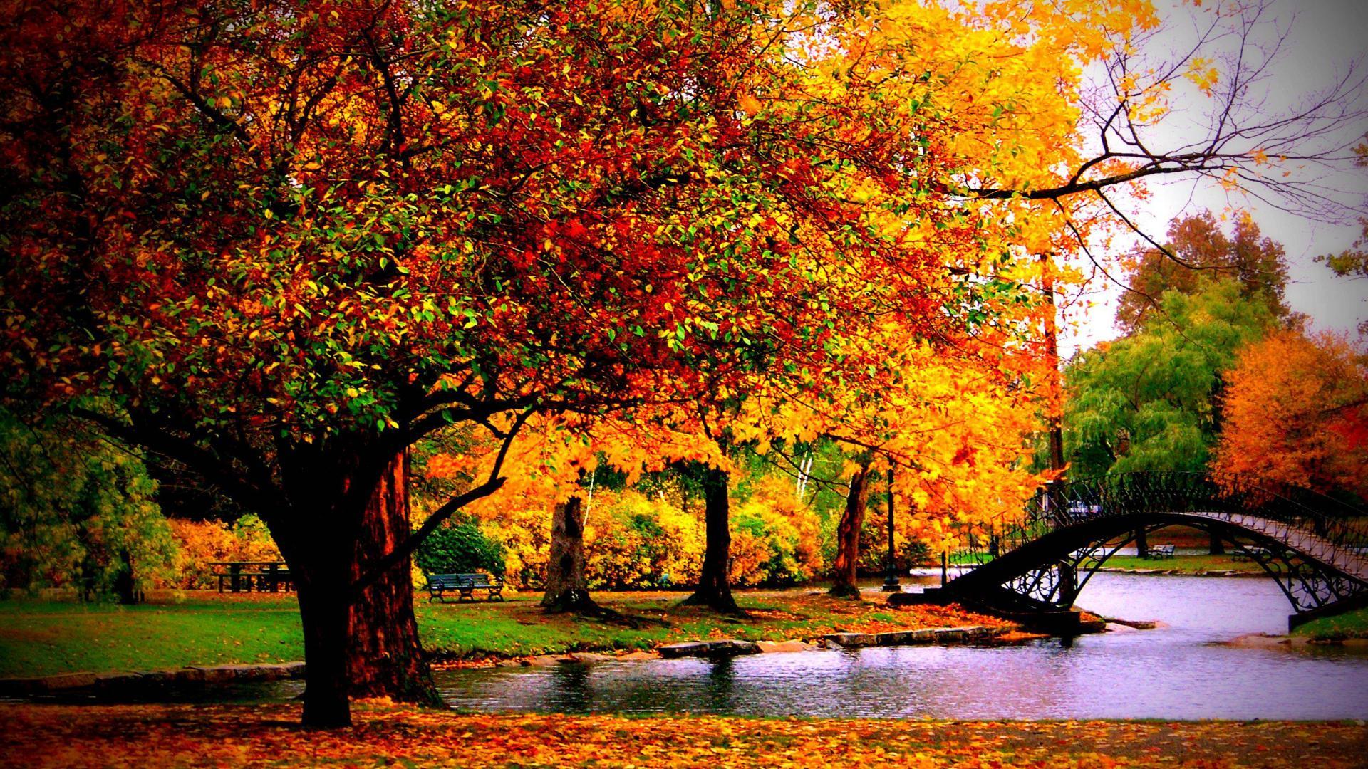 1920x1080 Central Park Autumn Wallpaper
