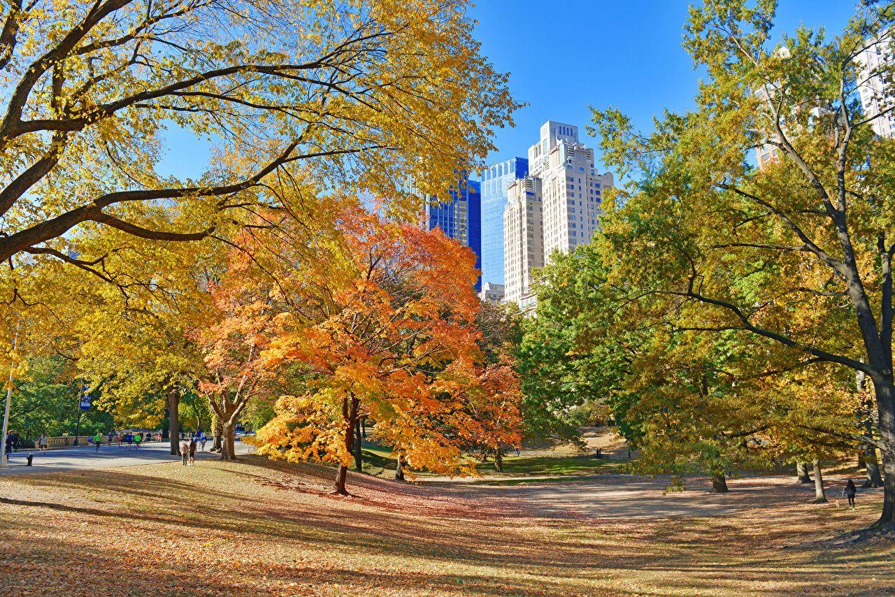 1280x854 Photos New York City USA Foliage Central Park Autumn Nature Parks