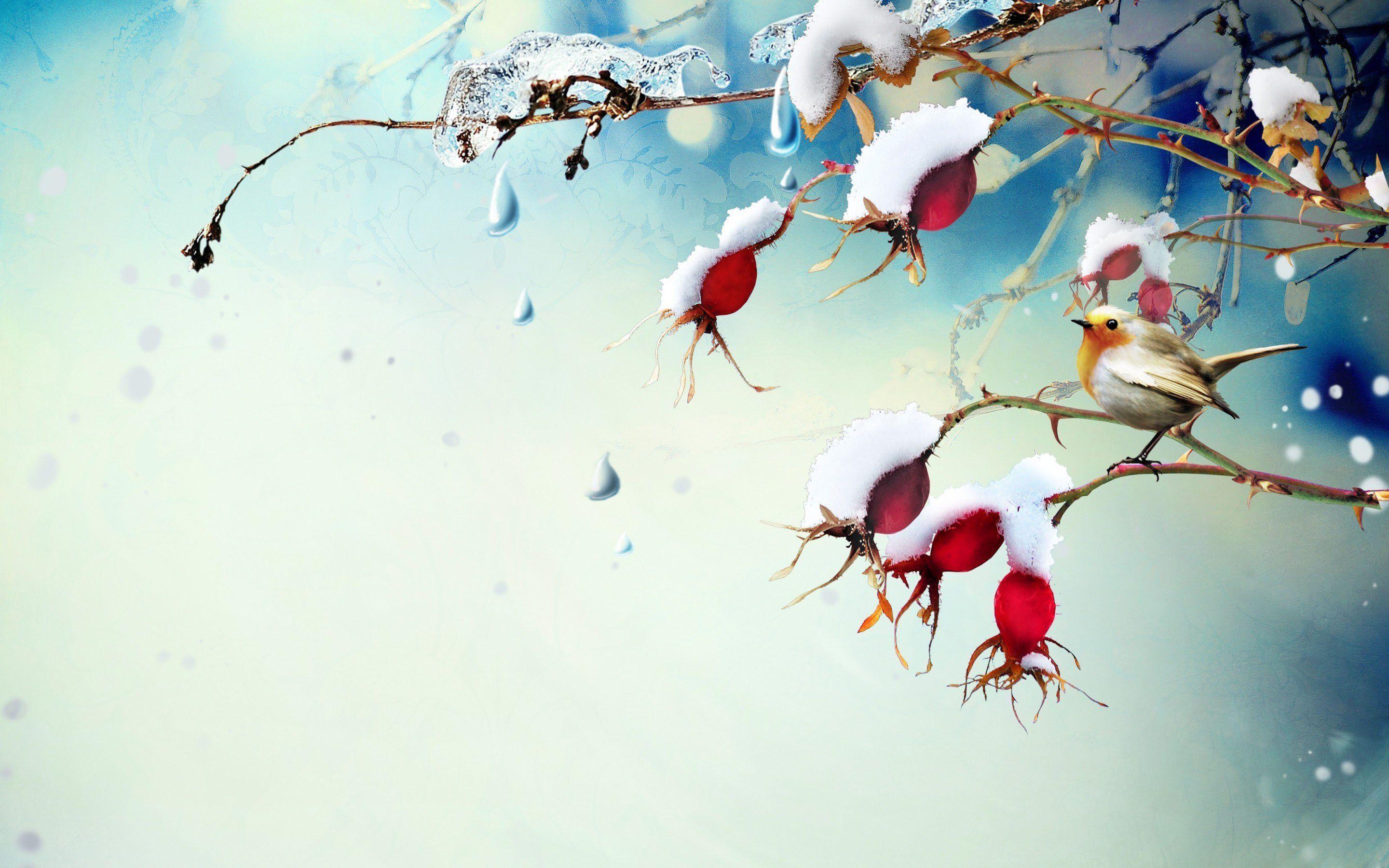 Bird Painting Wallpapers - Top Free Bird Painting Backgrounds