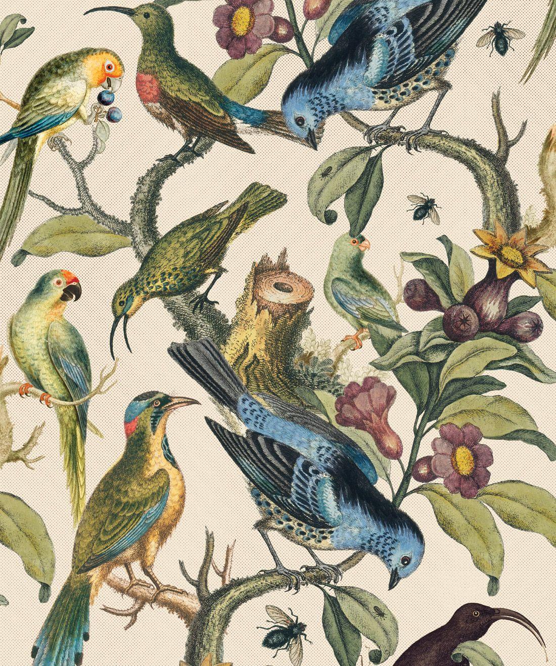 Bird Painting Wallpapers - Top Free Bird Painting Backgrounds