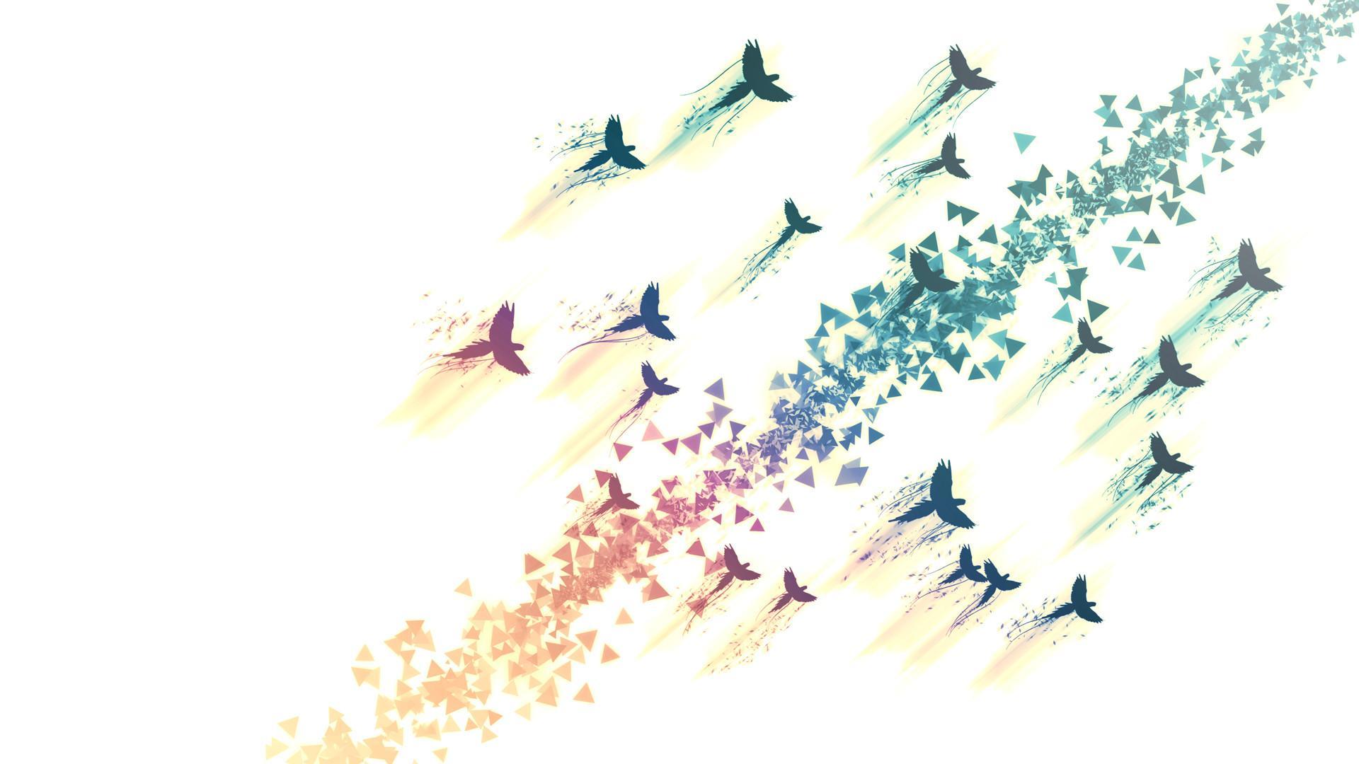 1920x1080 Bird Art Wallpaper