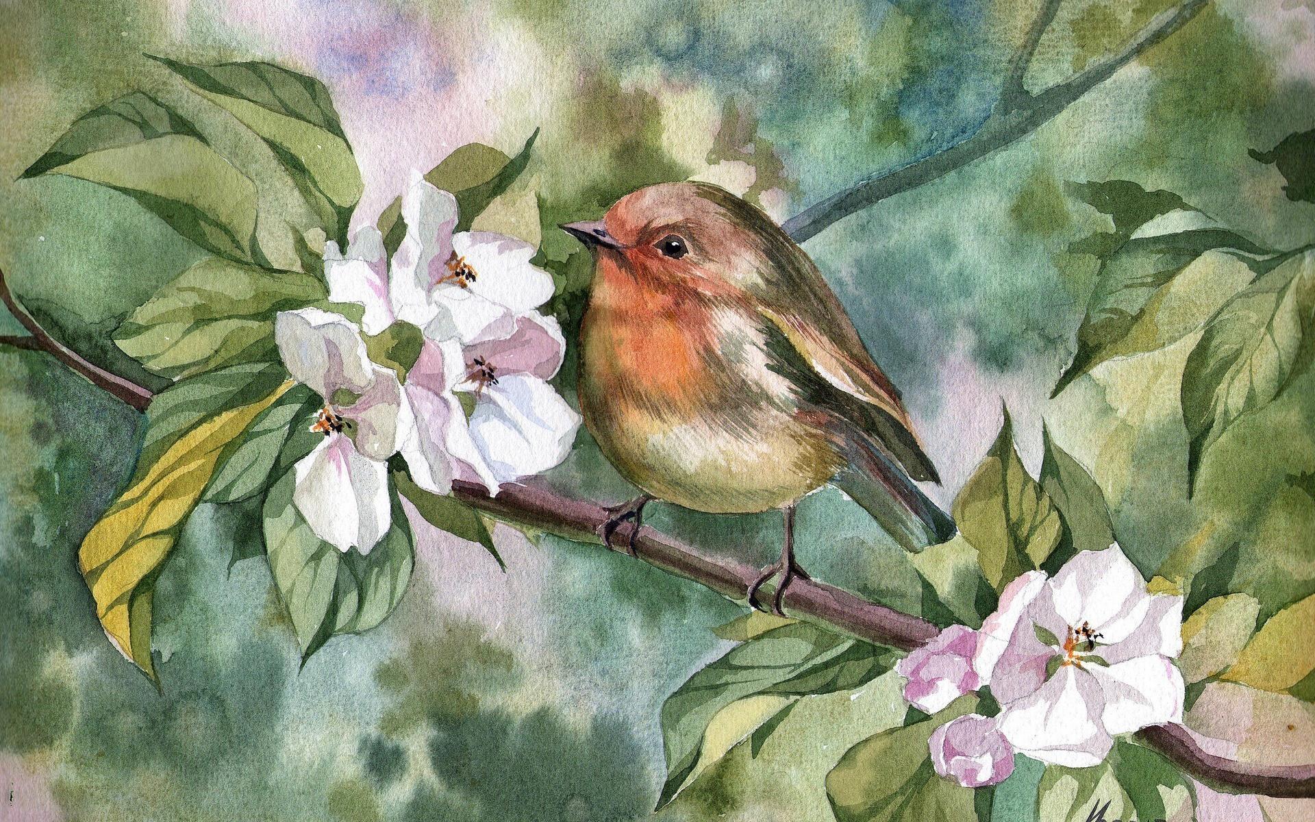 Bird Painting Wallpapers - Top Free Bird Painting Backgrounds