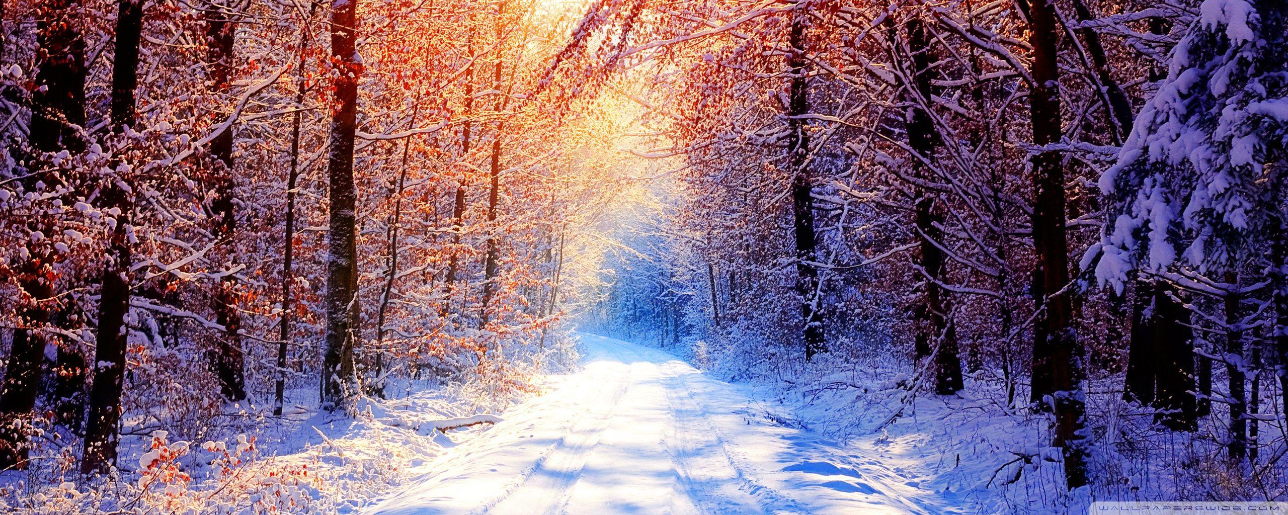 2560x1024 Winter Widescreen Dual Monitor Wallpaper Photo Download JPG, PNG, GIF, RAW, TIFF, PSD, PDF and Watch Online