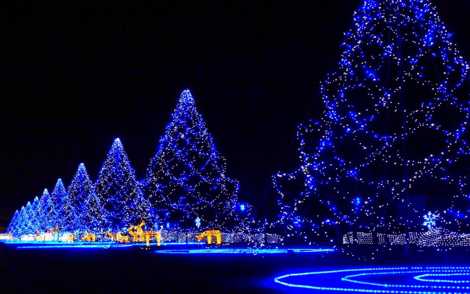 1600x1000 Kids Under 7: Christmas wallpaper