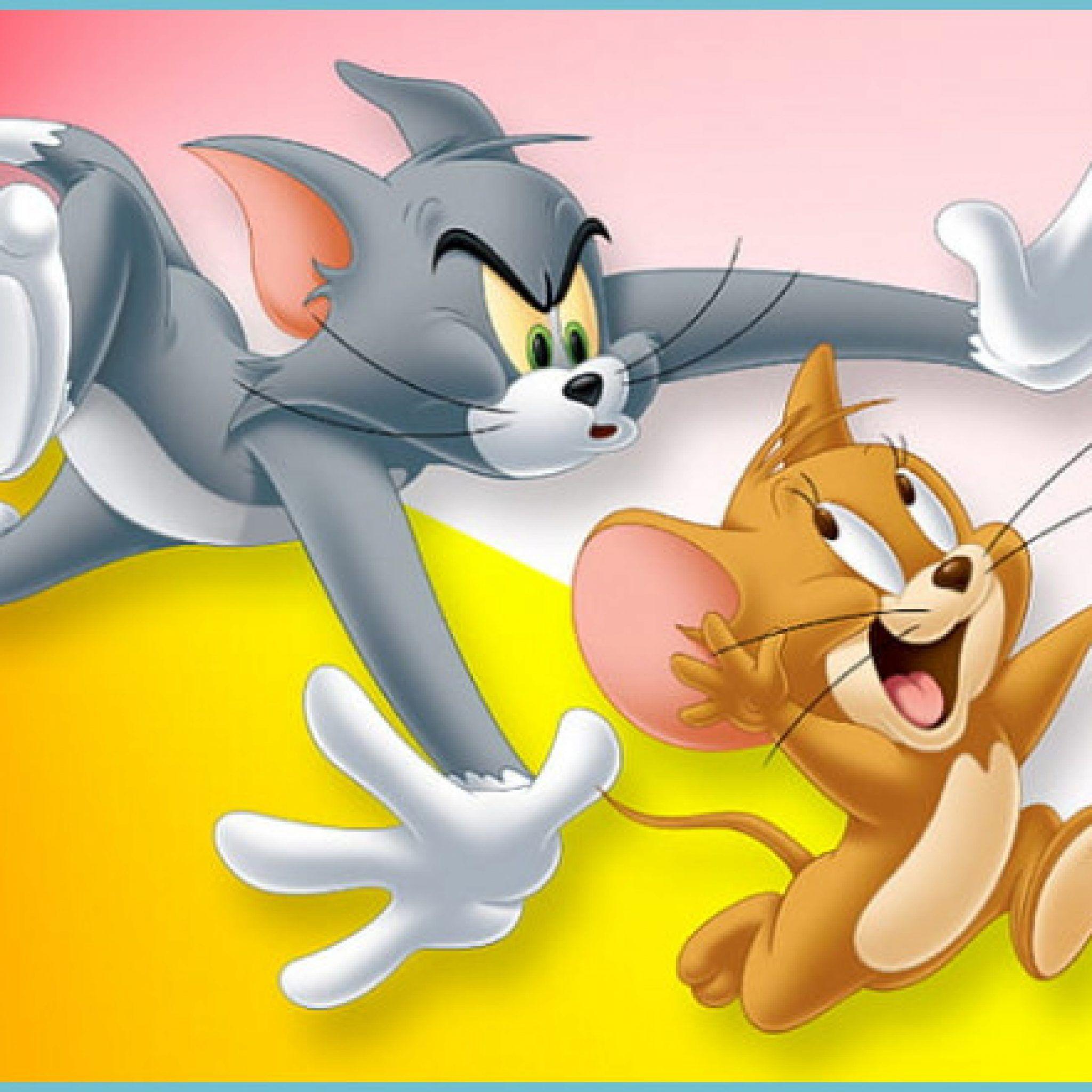 2048x2048 HD wallpaper: Tom And Jerry Heroes Cartoons Desktop HD Wallpaper and jerry wallpaper