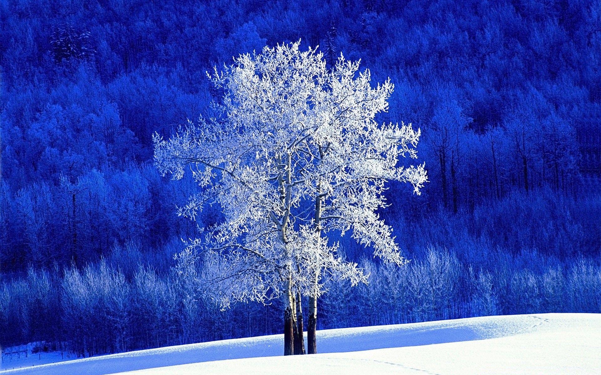1920x1200 Winter, British Columbia, Canada