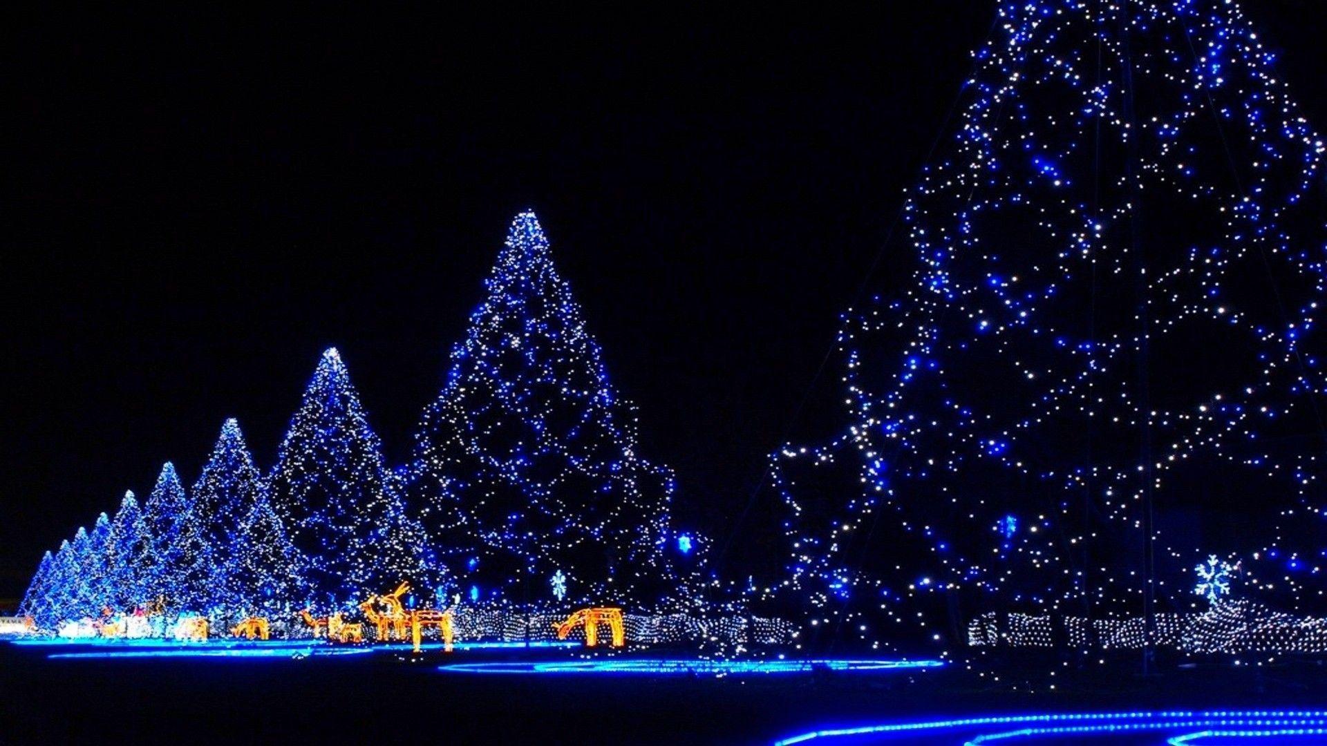 1920x1080 Winter: Trees Snow Christmas Winter Japan Lights Tree Night. Battery operated christmas lights, Christmas lights background, Christmas lights
