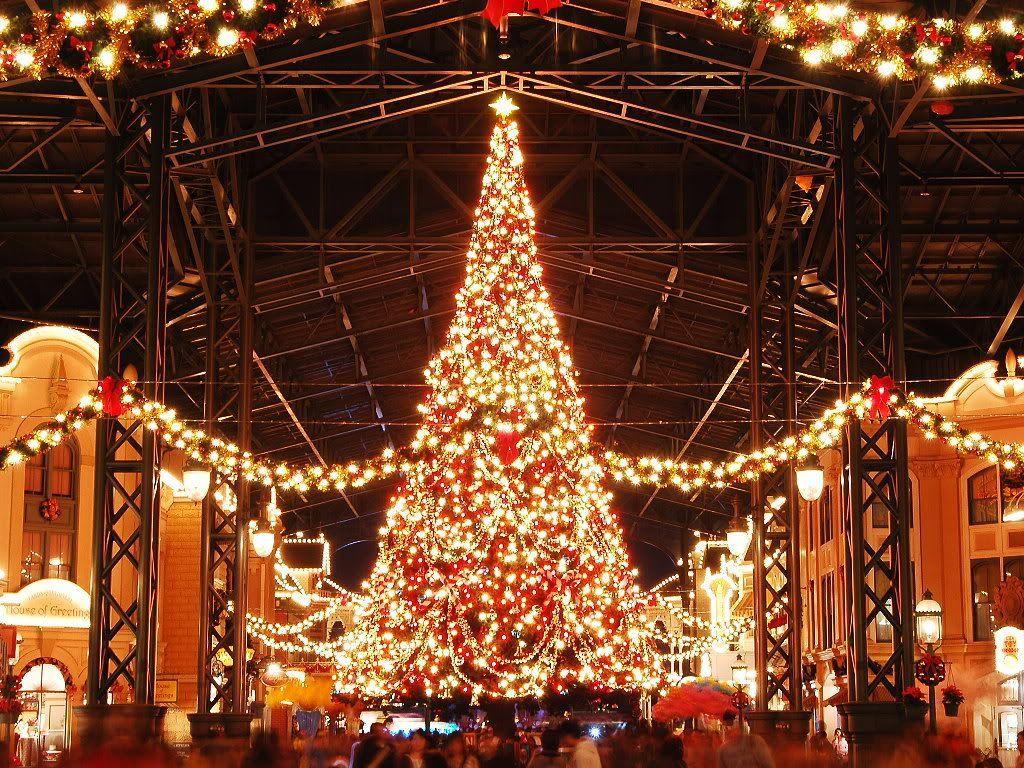 1024x768 more days until Christmas wallpaper. Christmas Wallpaper. Christmas Desktop Background. Disneyland christmas, Christmas wedding themes, Christmas photo