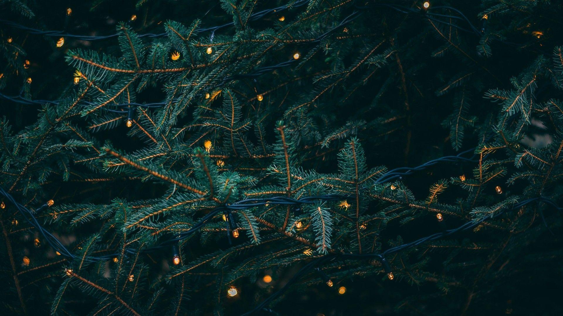 1920x1080 Desktop Aesthetic Christmas Wallpaper