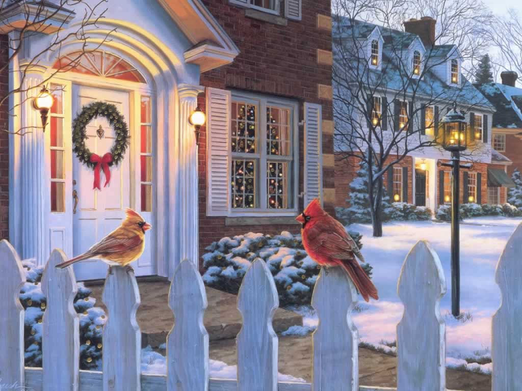 1024x768 Birds At Front Door At Xmas Bush Christmas