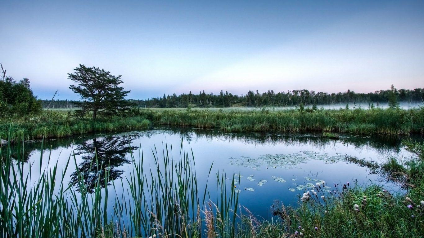 1366x768 Lakes: Rainbow Trout Fishing Eddie Casting Big Fish Pay Lake Effort