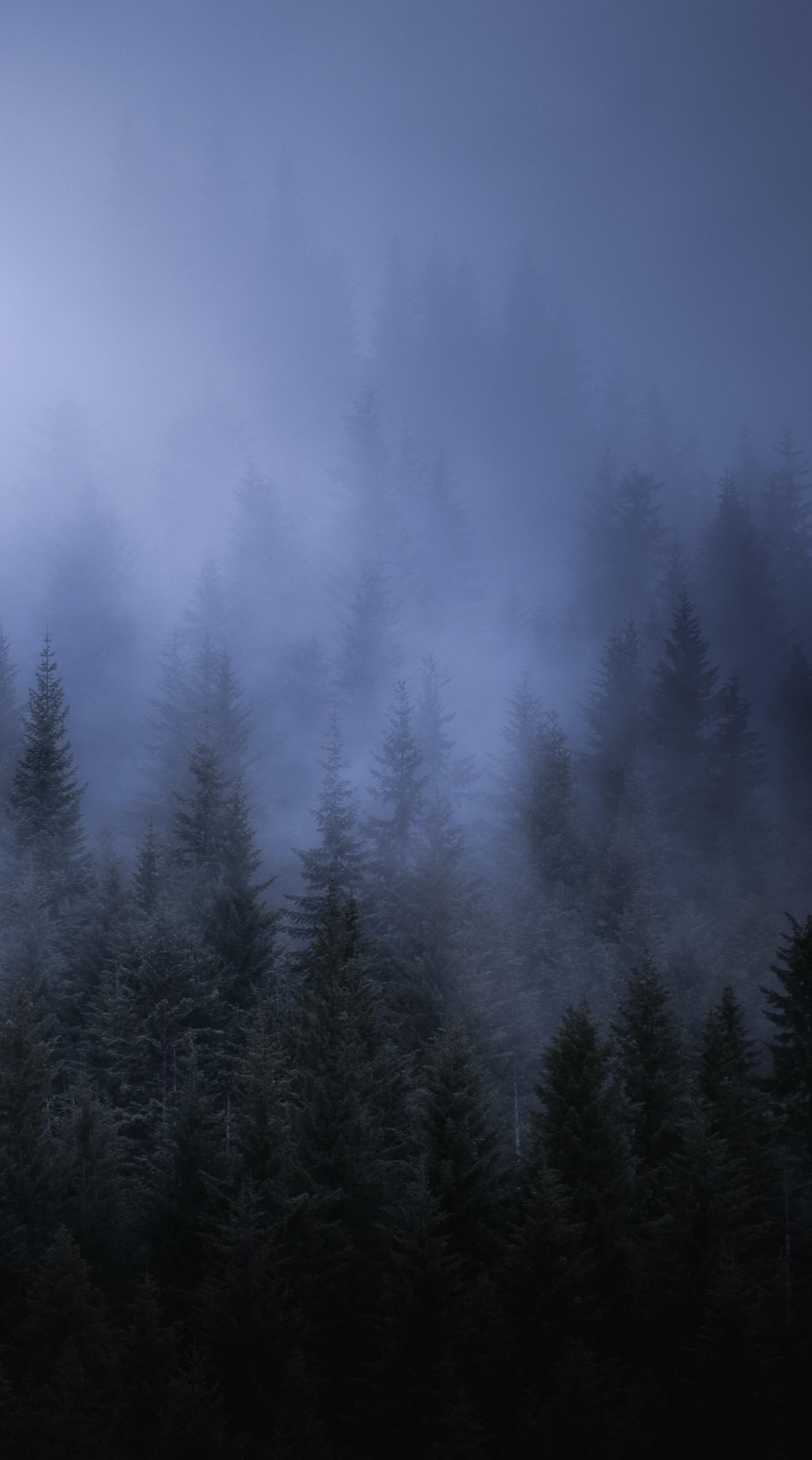 2163x3888 Wallpaper Aesthetic