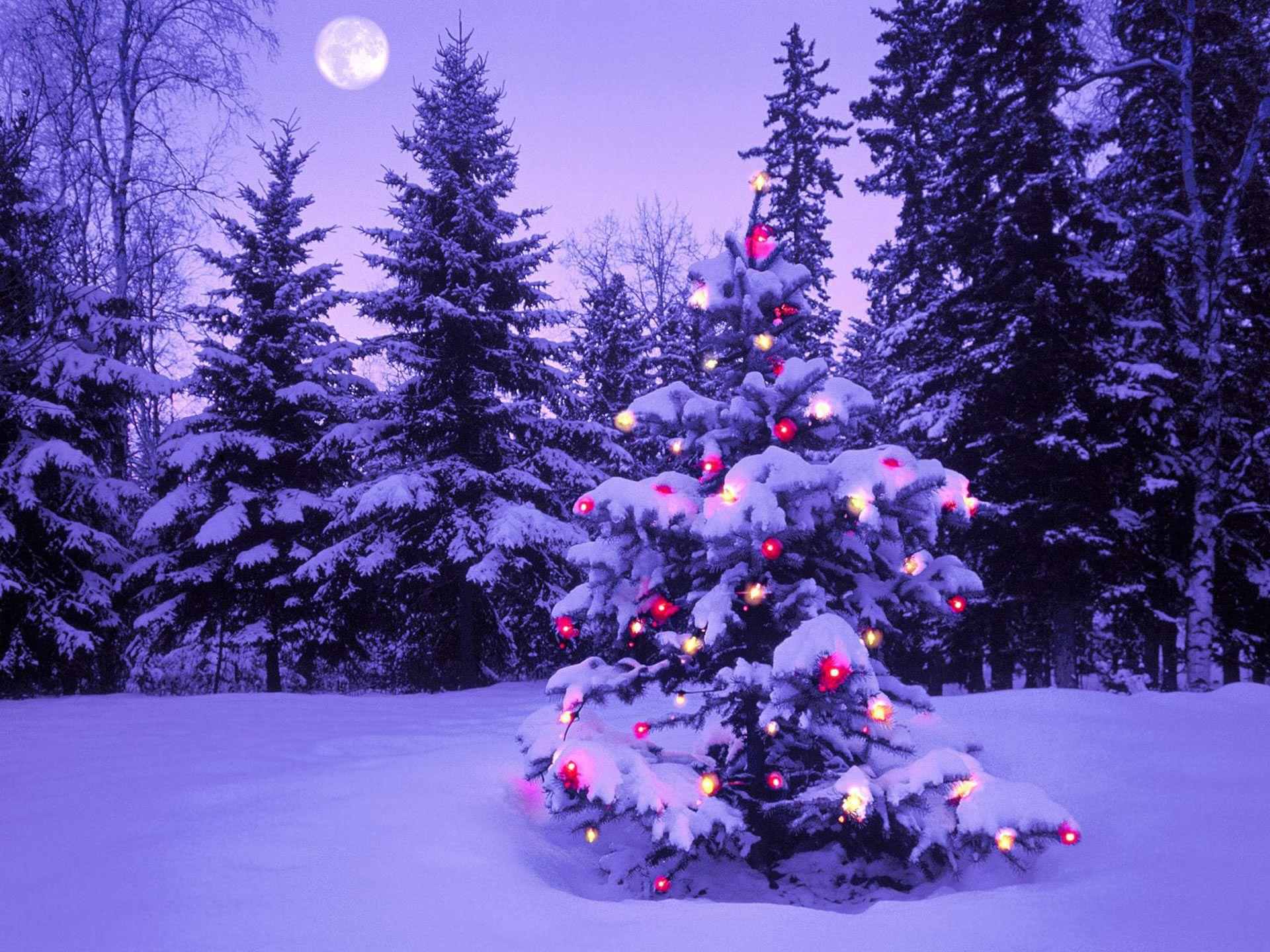 1920x1440 Merry Christmas Widescreen HD Wallpaper or Wallpaper