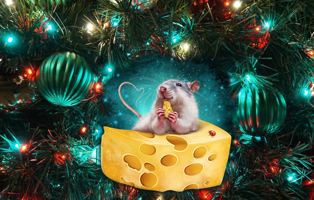 1332x850 Christmas 2020 HD