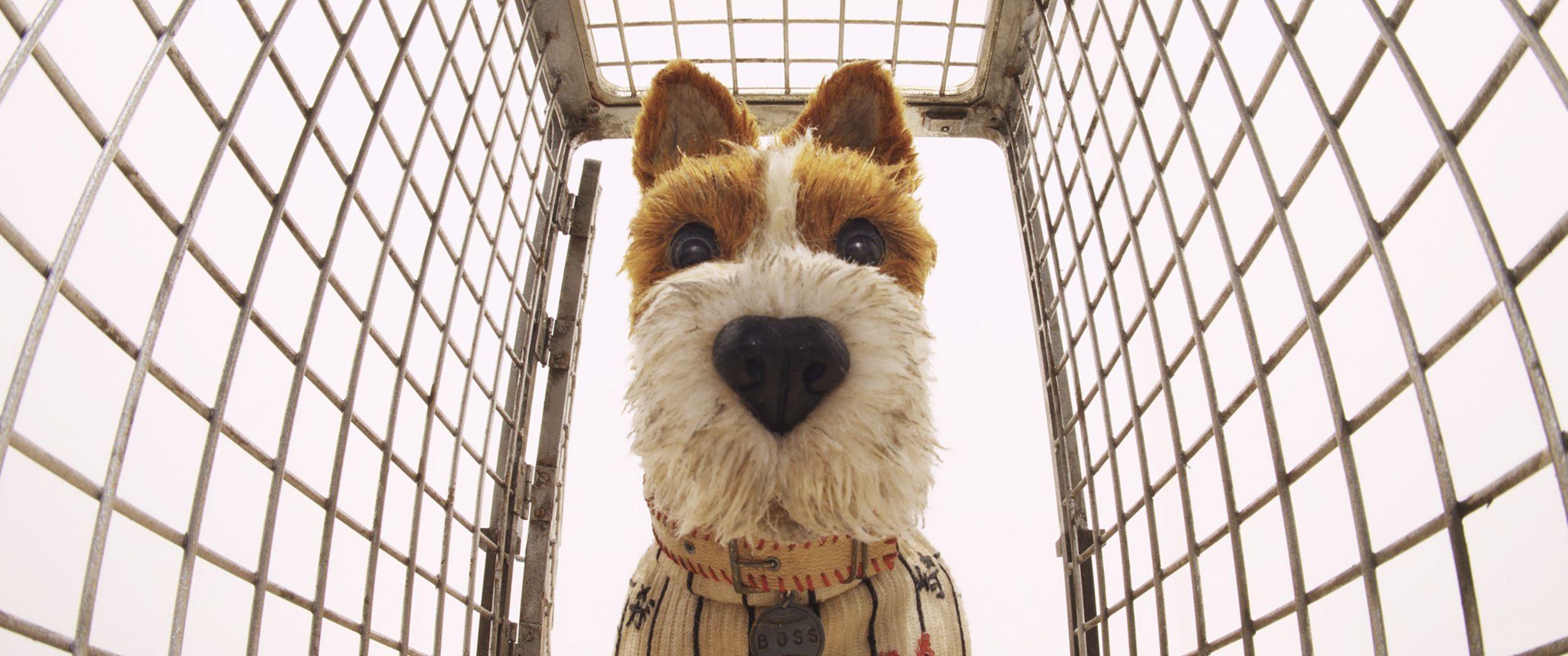 2450x1025 Wes Anderson's Isle of Dogs' Beauty Is Lost in Ambition