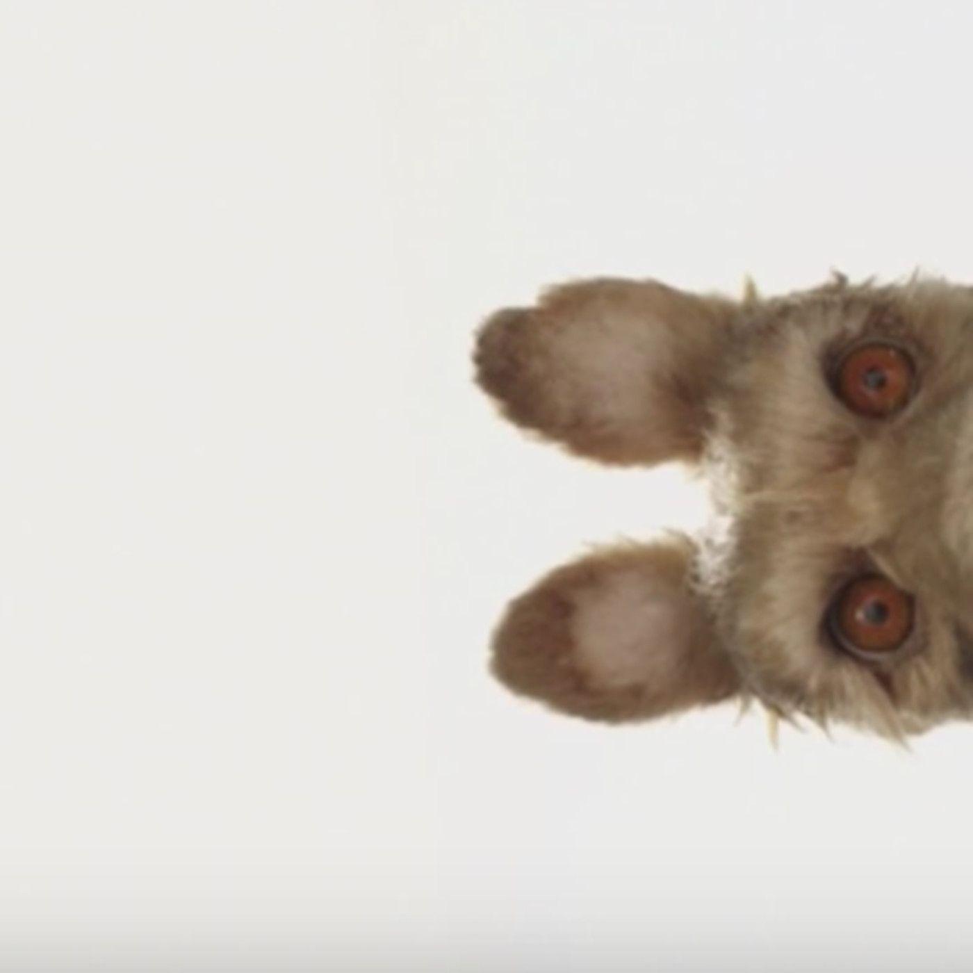 1400x1400 Wes Anderson Announces New Stop Motion Movie, Isle Of Dogs