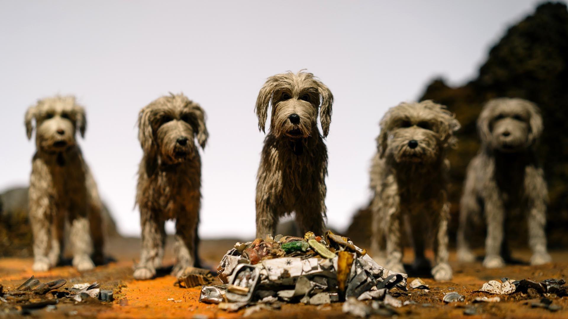 Isle Of Dogs Wallpapers - Top Free Isle Of Dogs Backgrounds