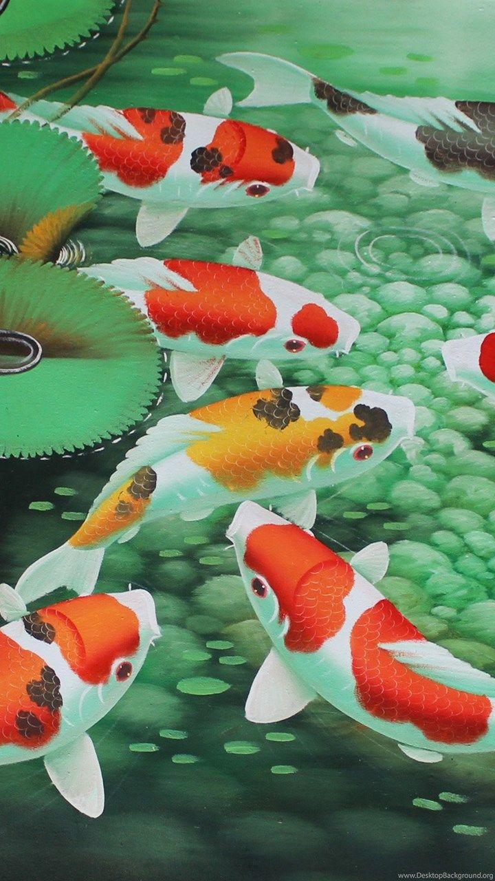 Green Koi Fish Wallpapers Top Free Green Koi Fish Backgrounds
