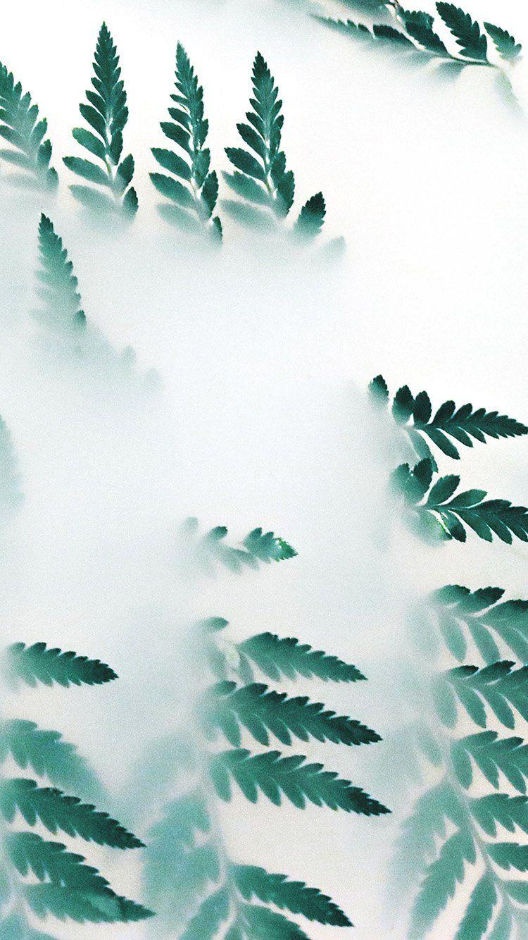 750x1334 iPhone 6 wallpaper. leaf hip minimal tree flower simple nature