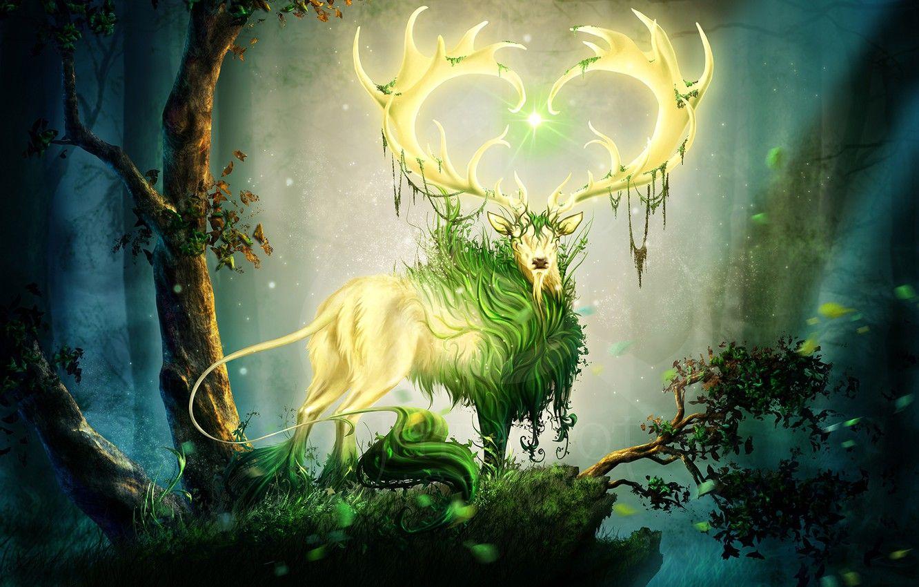 Forest Deer Wallpapers - Top Free Forest Deer Backgrounds - WallpaperAccess