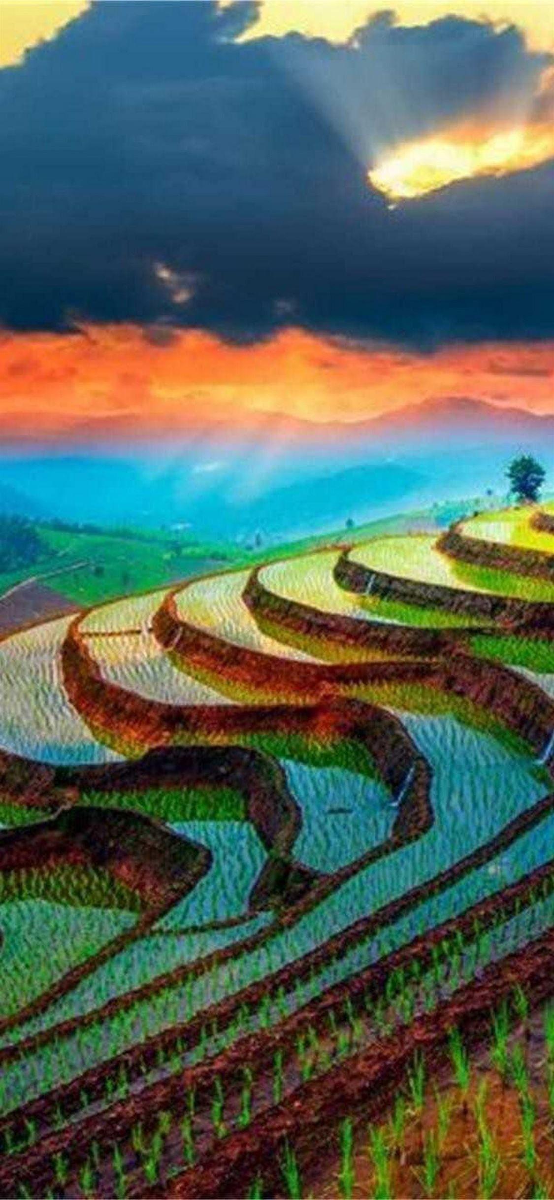 Vietnam iPhone Wallpapers - Top Free Vietnam iPhone Backgrounds ...