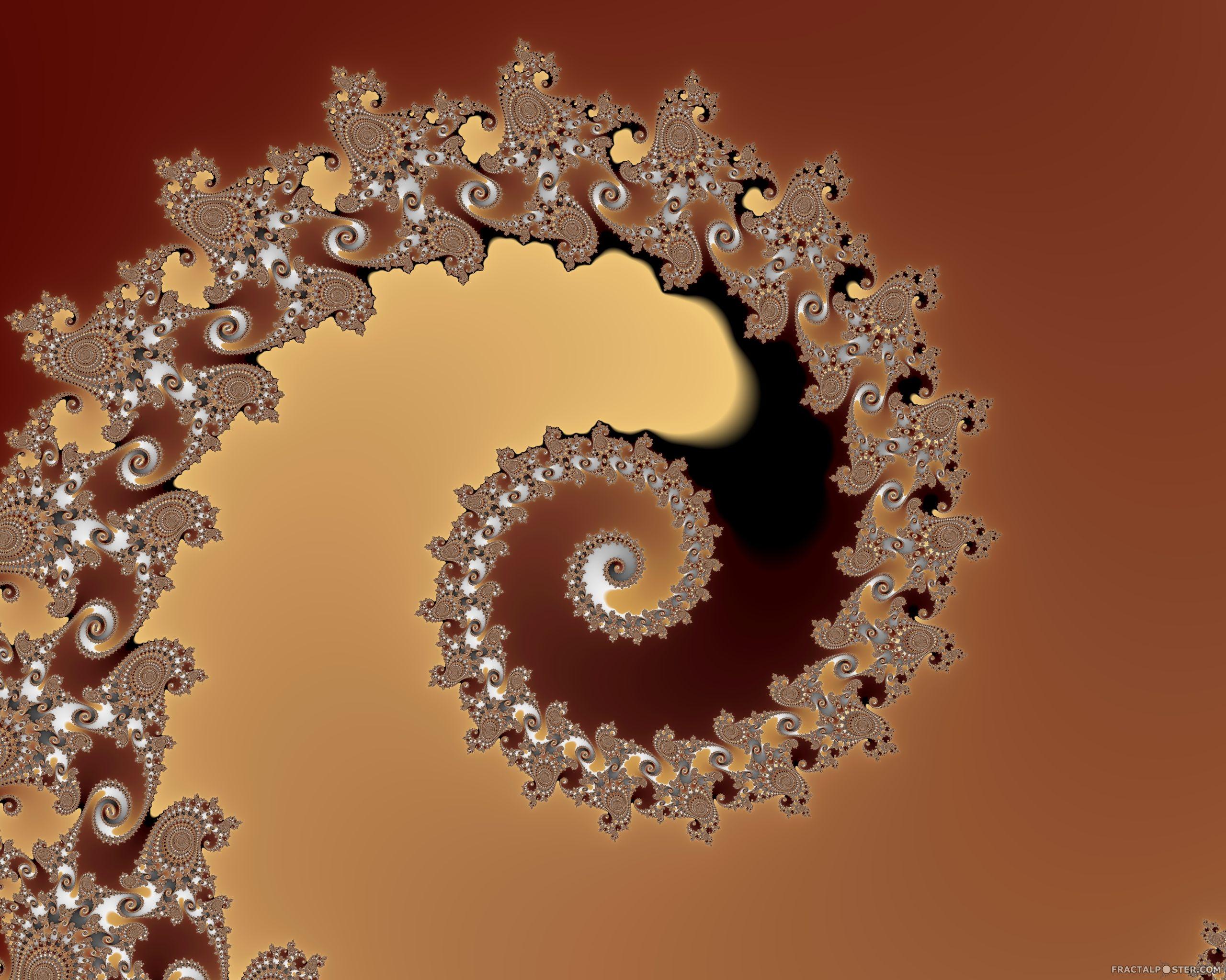 2560x2048 Ammonite. Ammonite fossil in the gem stone gallery in the c
