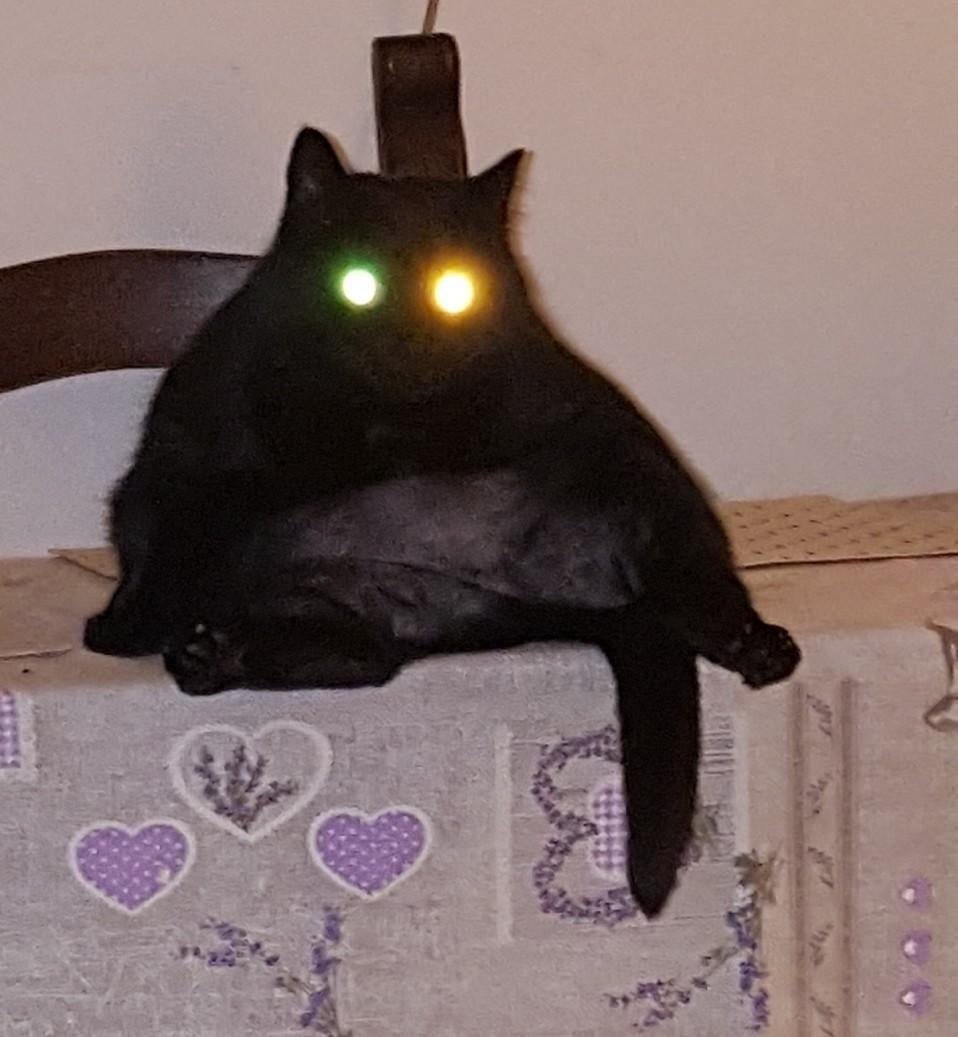 958x1037 flash eyes cat. Weird picture, Love time, Memes