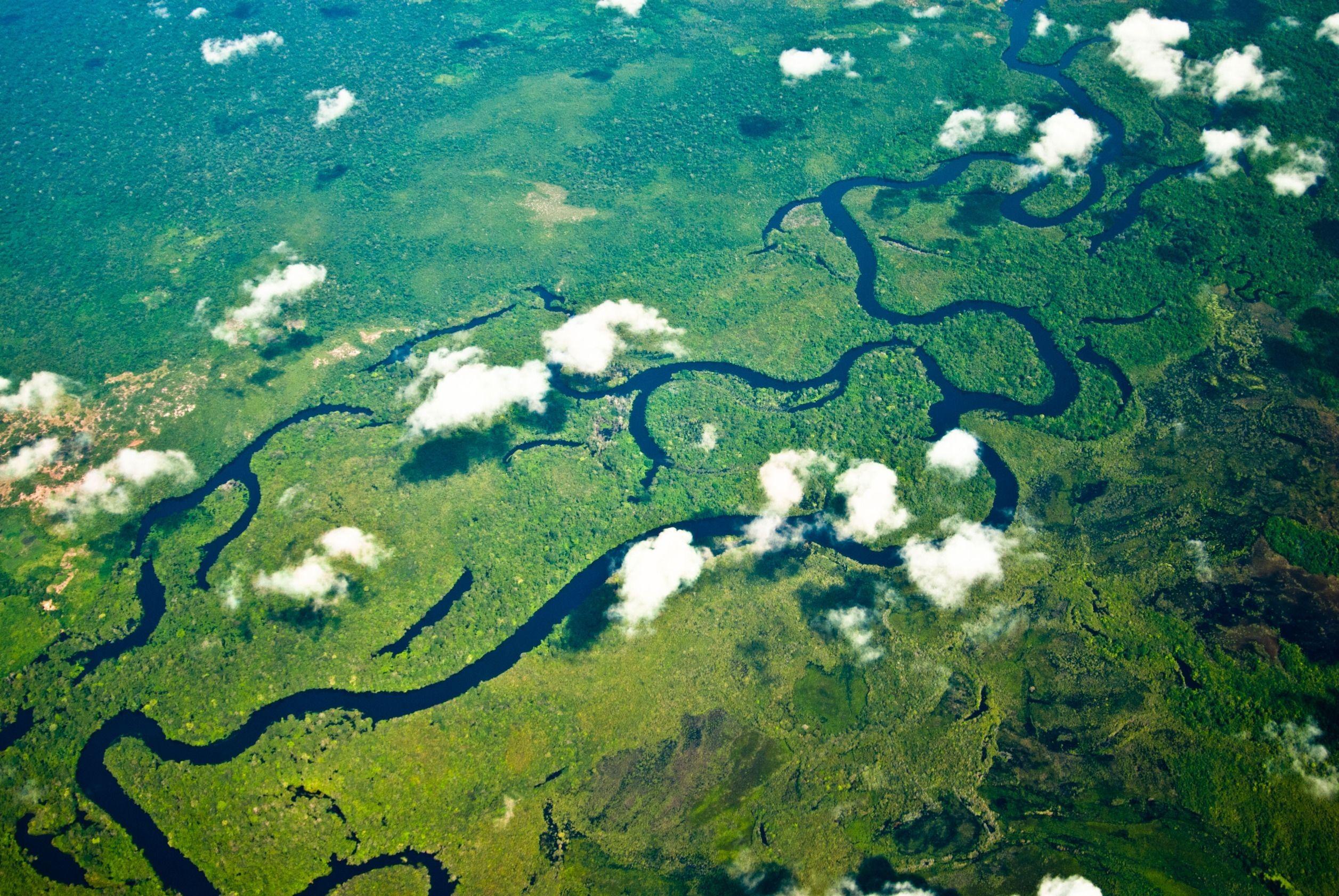 Самая полноводная река бразилии. Бразилия Амазонская низменность. Исток реки Амазонка. Устье реки Амазонка.