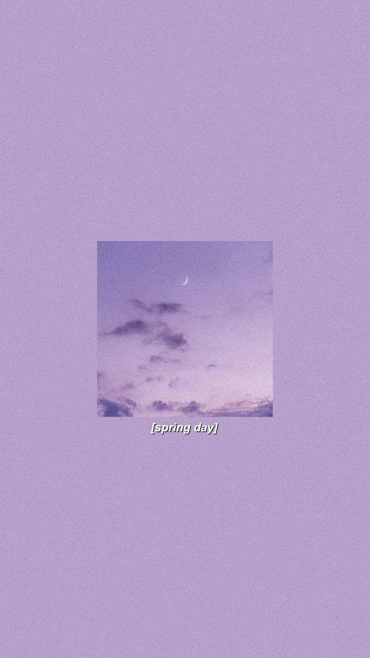 736x1308 kwiatki. Purple wallpaper iphone, Purple wallpaper, Aesthetic pastel wallpaper