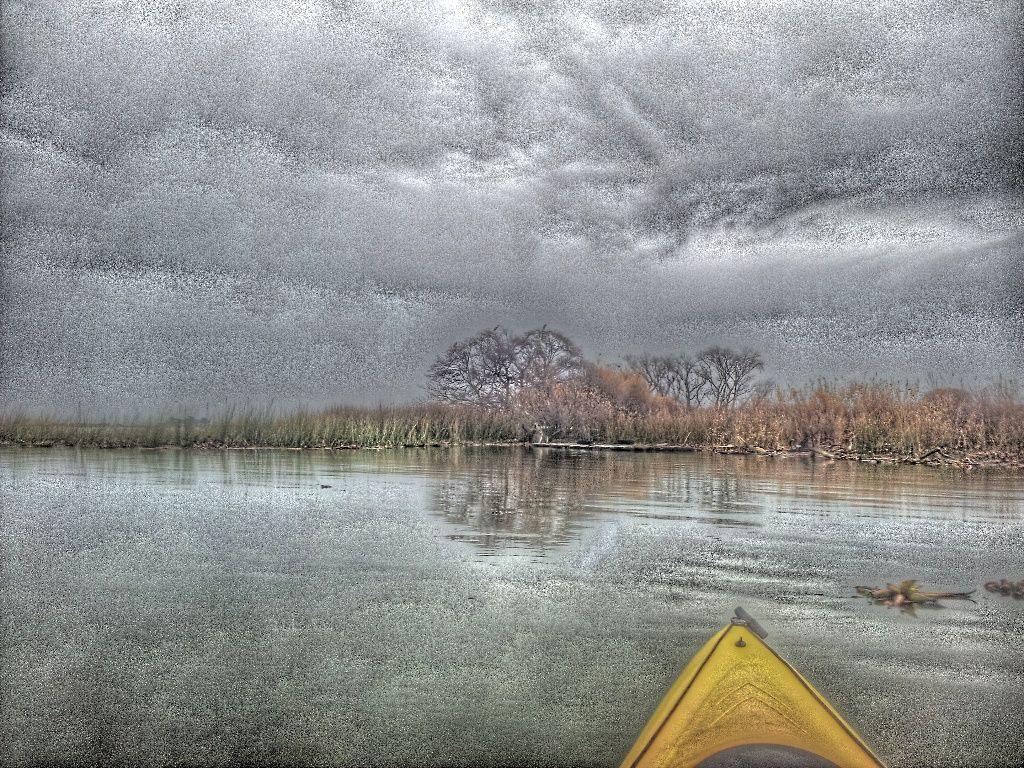 1024x768 Kayaking the California Delta: Sherman Island Waterfowl Management Area