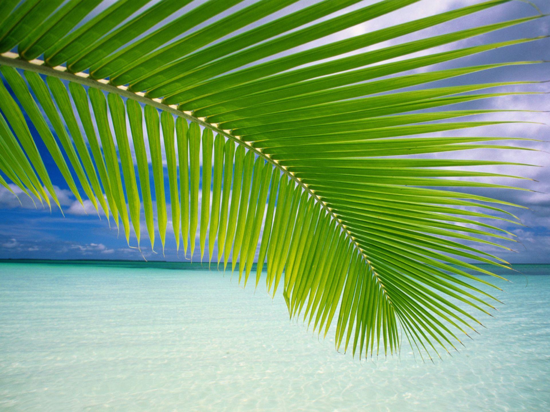 Windows Vista Wallpapers Top Free Windows Vista Backgrounds Windows Vista Wallpapers Top Free Windows Vista Backgrounds