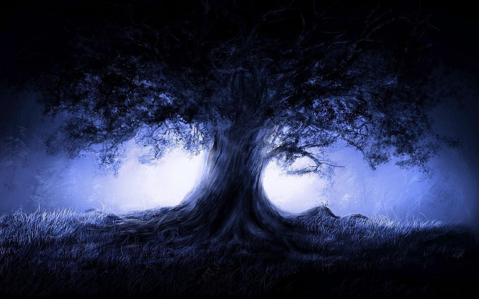 1680x1050 Tree Desktop Wallpaper