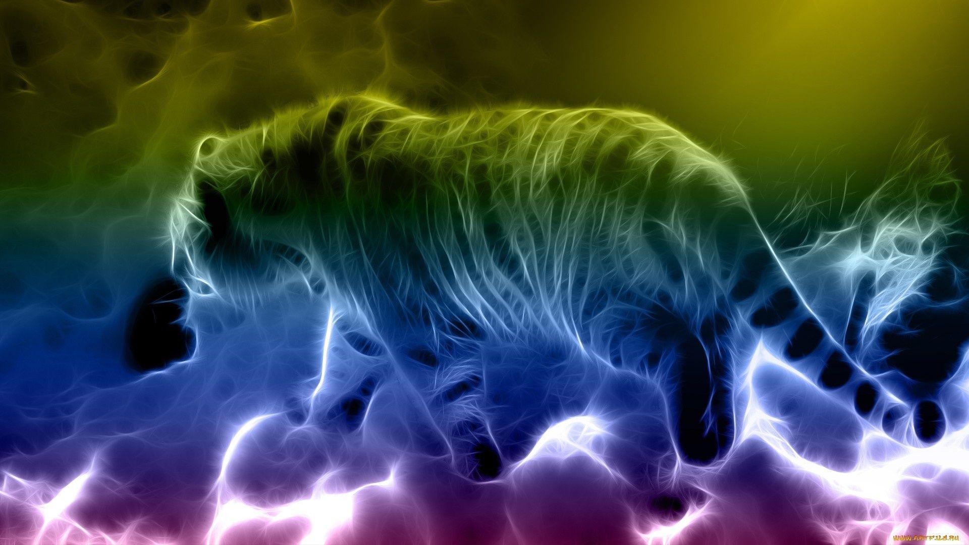 Cool Colorful Animal Wallpapers - Top Free Cool Colorful Animal