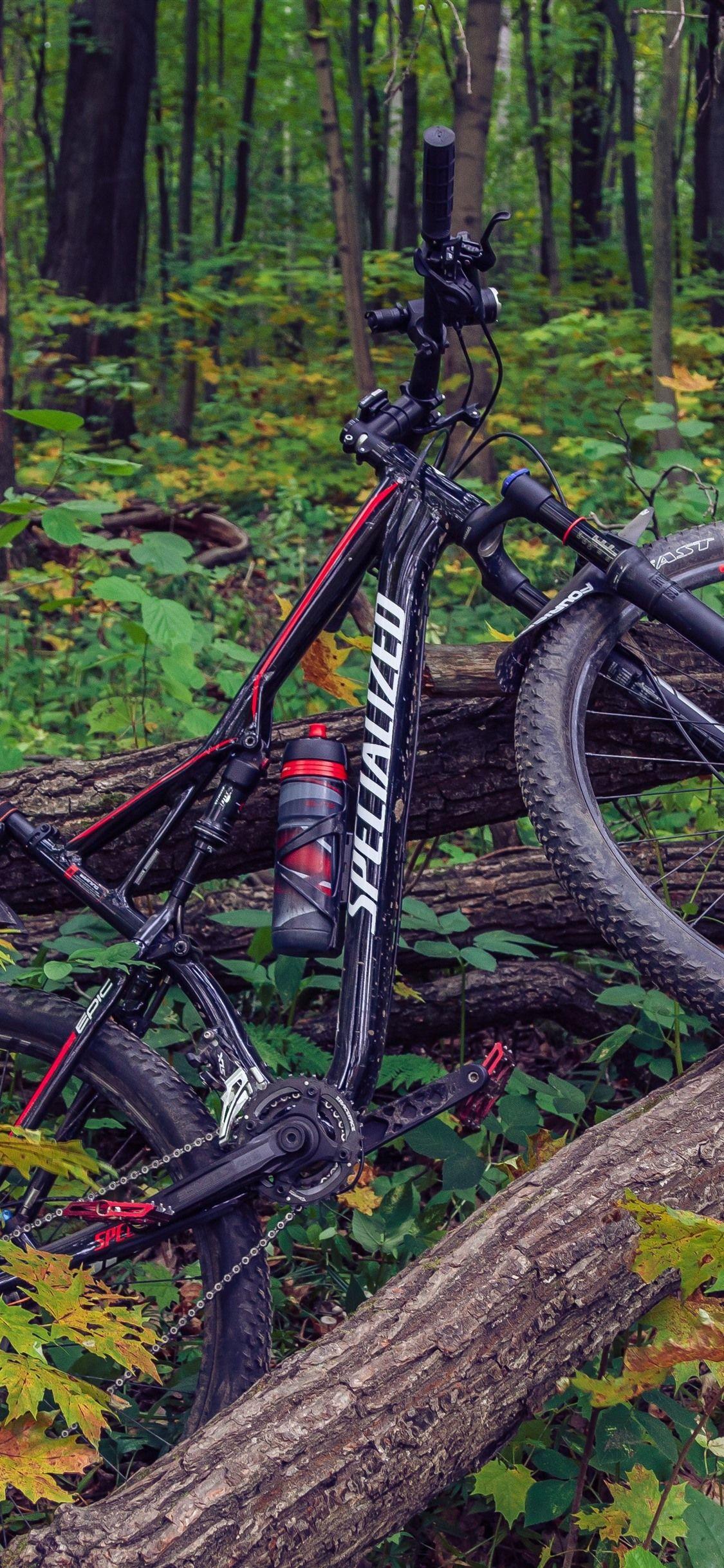 1125x2436 Bike, Tree, Forest 1242x2688 IPhone 11 Pro XS Max Wallpaper, Background, Picture, Image