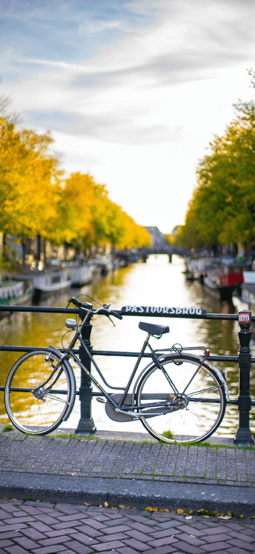 869x1882 Bicycle Wallpaper art: Free HD Download