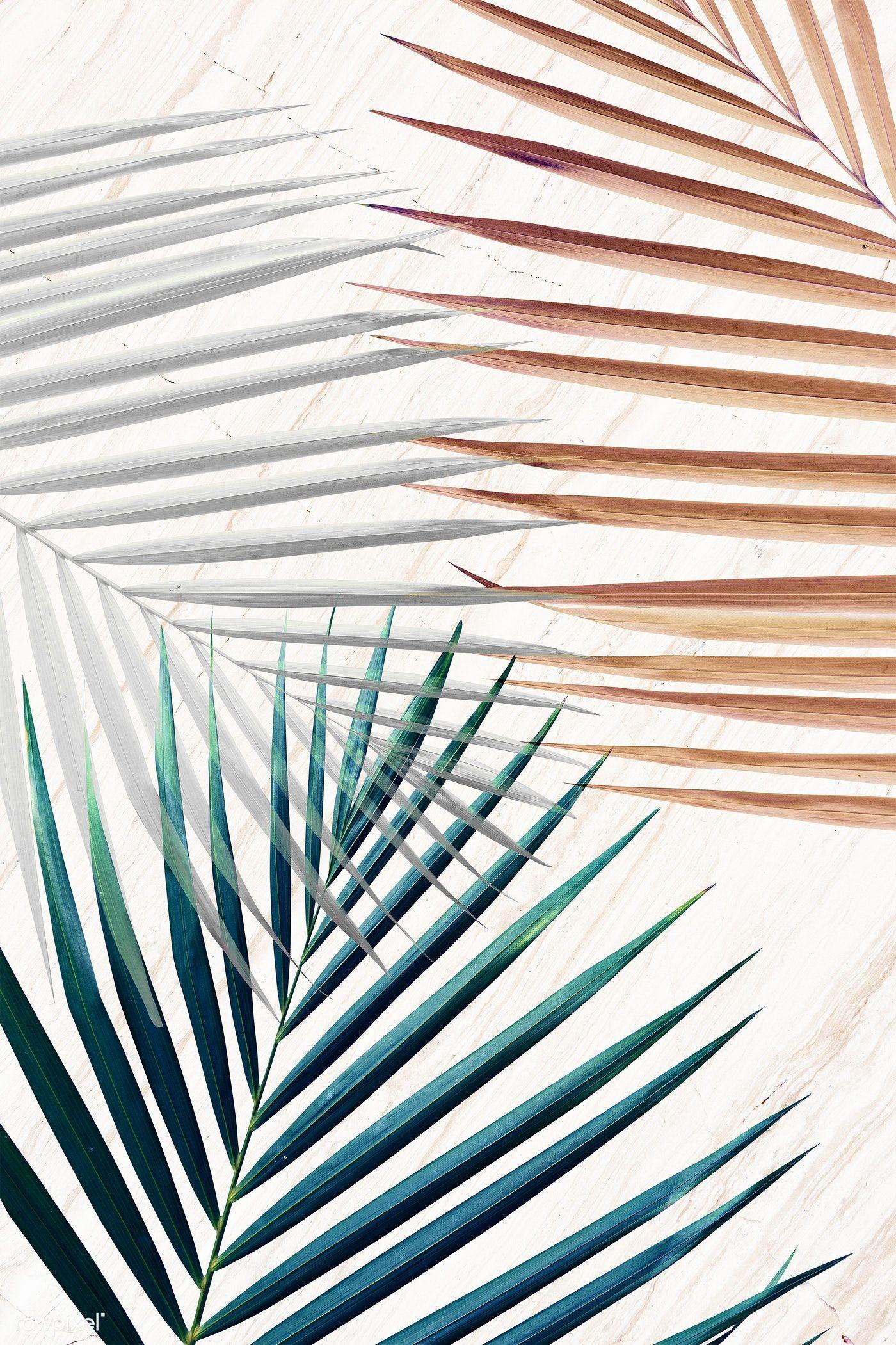 1400x2101 Silver with green and brown palm leaves patterned background illustration. premium image by rawpix. Palm leaf wallpaper, Palm leaves pattern, Background patterns