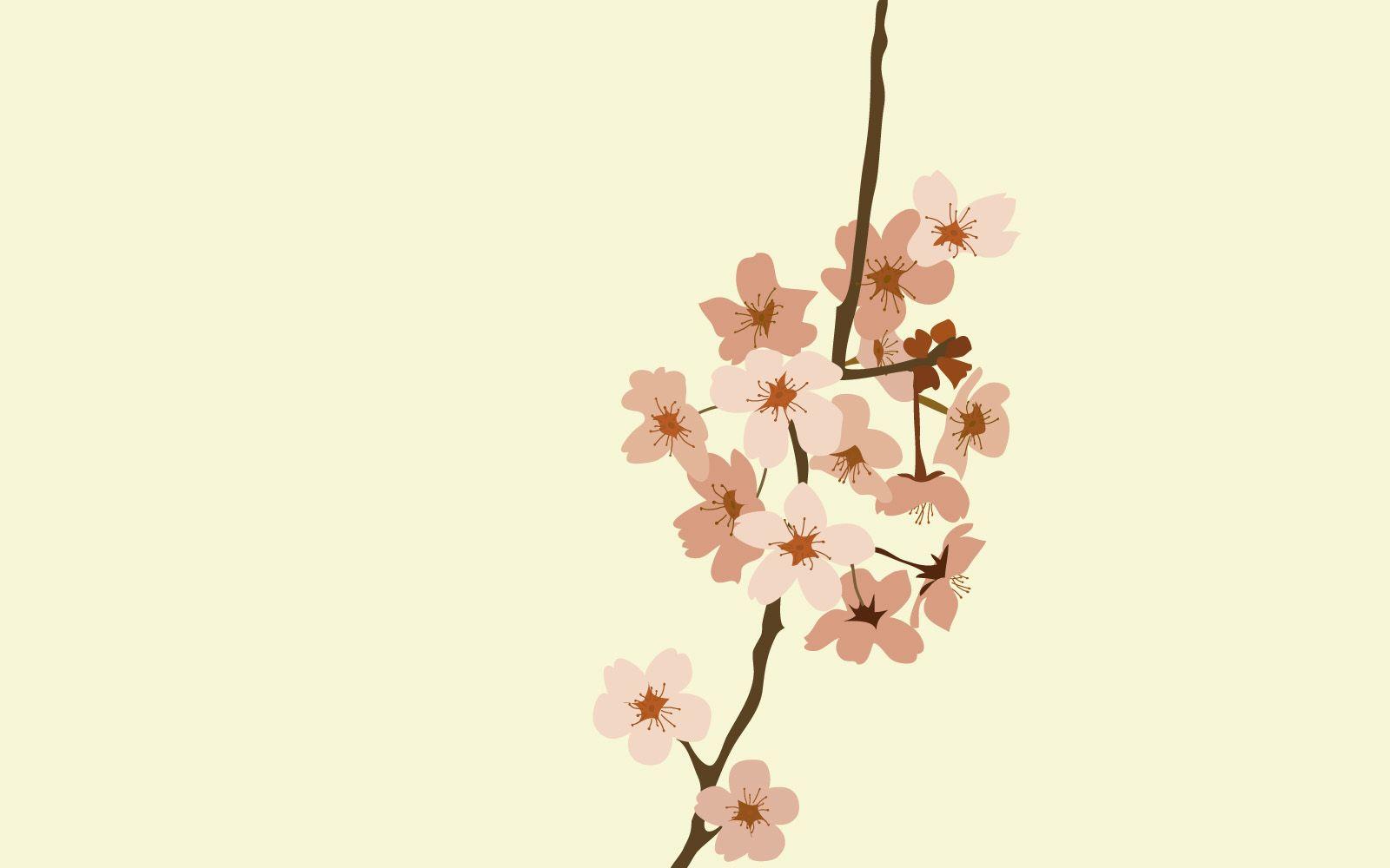 Simple Flower Desktop Wallpapers - Top Free Simple Flower Desktop