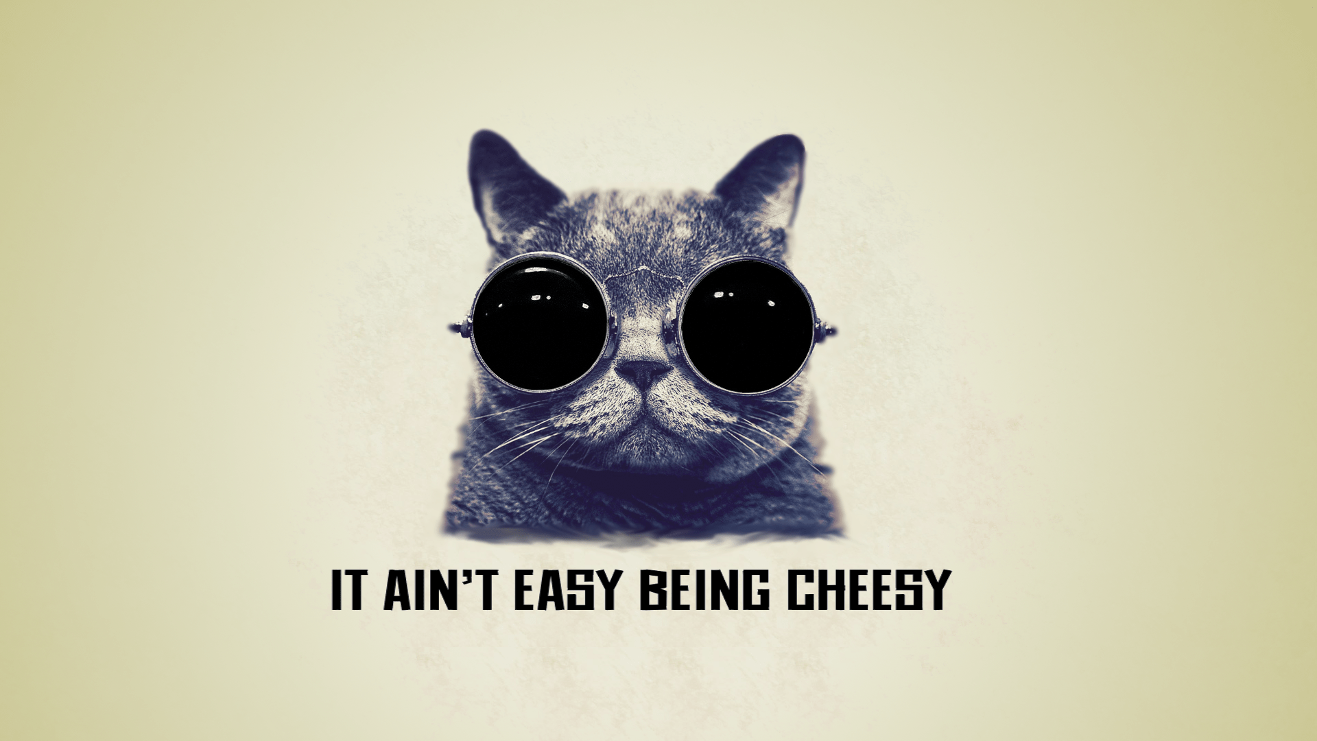 1920x1080 Coolcat Wallpaper. Coolcat Wallpaper
