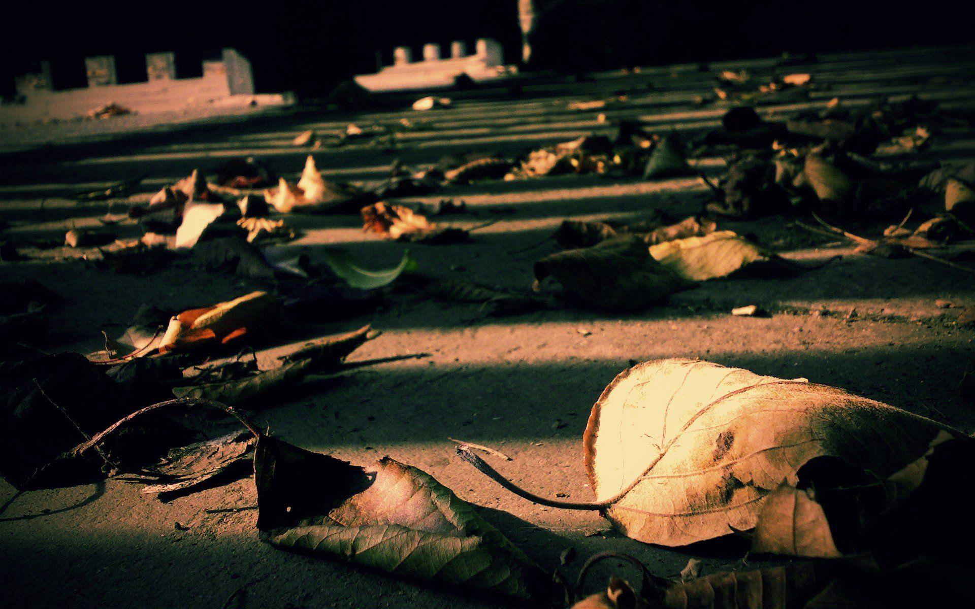 1920x1200 Vintage Autumn