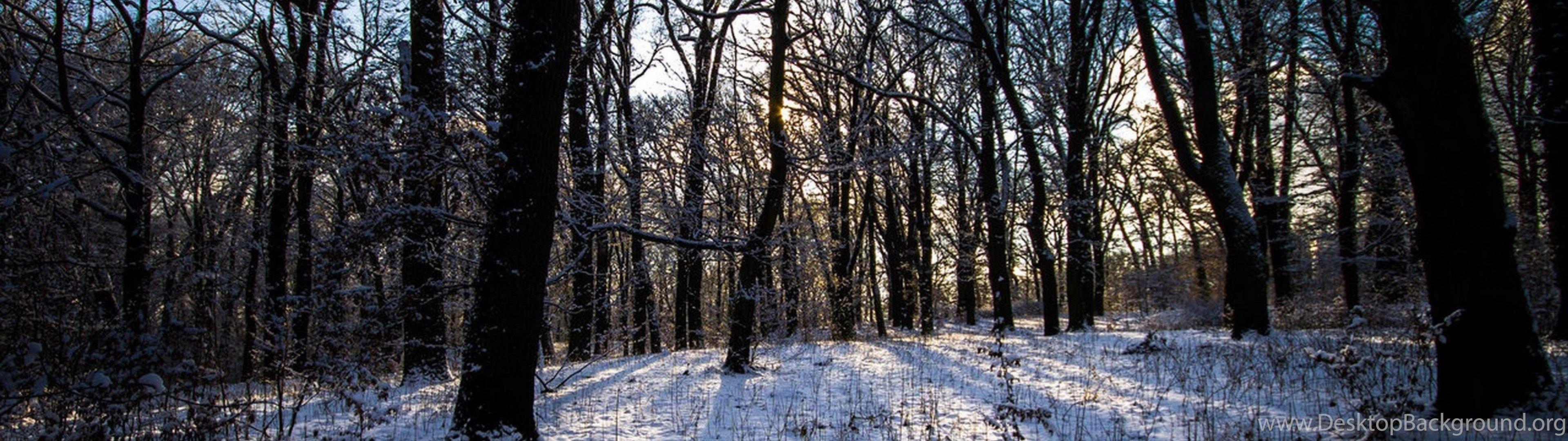 3840x1080 Download Wallpaper 3840x1200 Winter, Forest, Landscape Dual Wide. Desktop Background