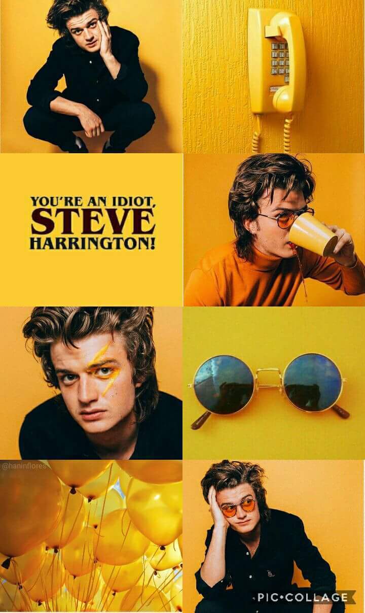 720x1208 Steve Harrington iPhone Wallpaper