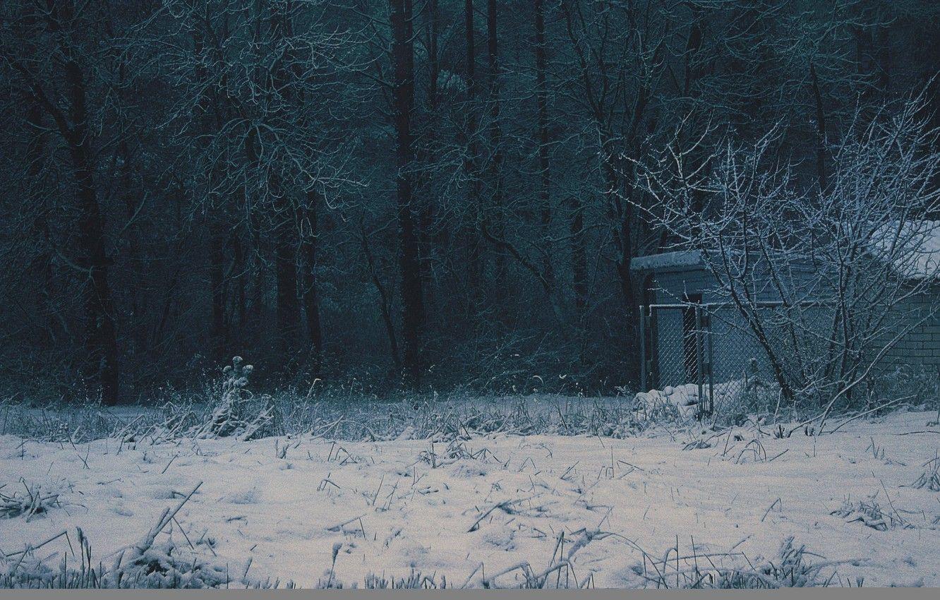 1332x850 Wallpaper winter, forest, nature, house .