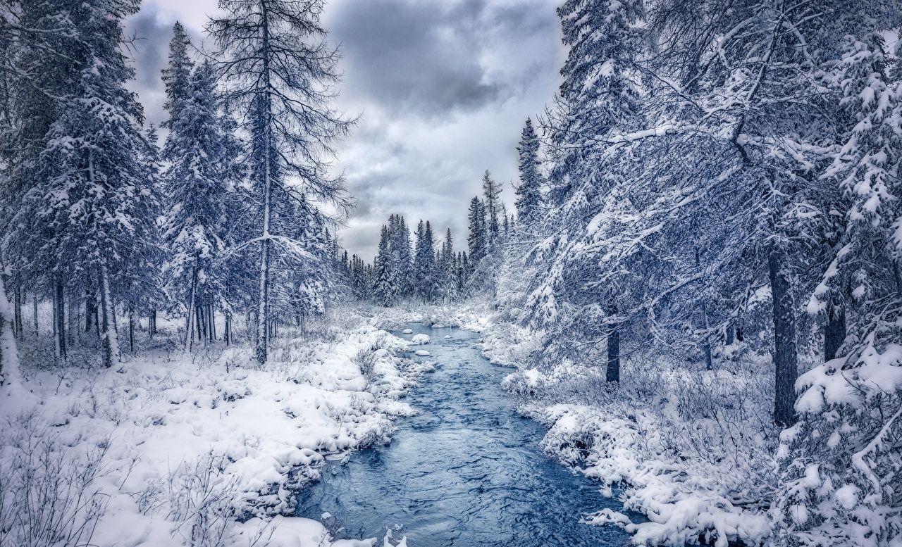 1280x777 Wallpaper Canada Quebec Nature Stream Winter Forests Trees. Winter landscape photography, Winter photography, Winter forest