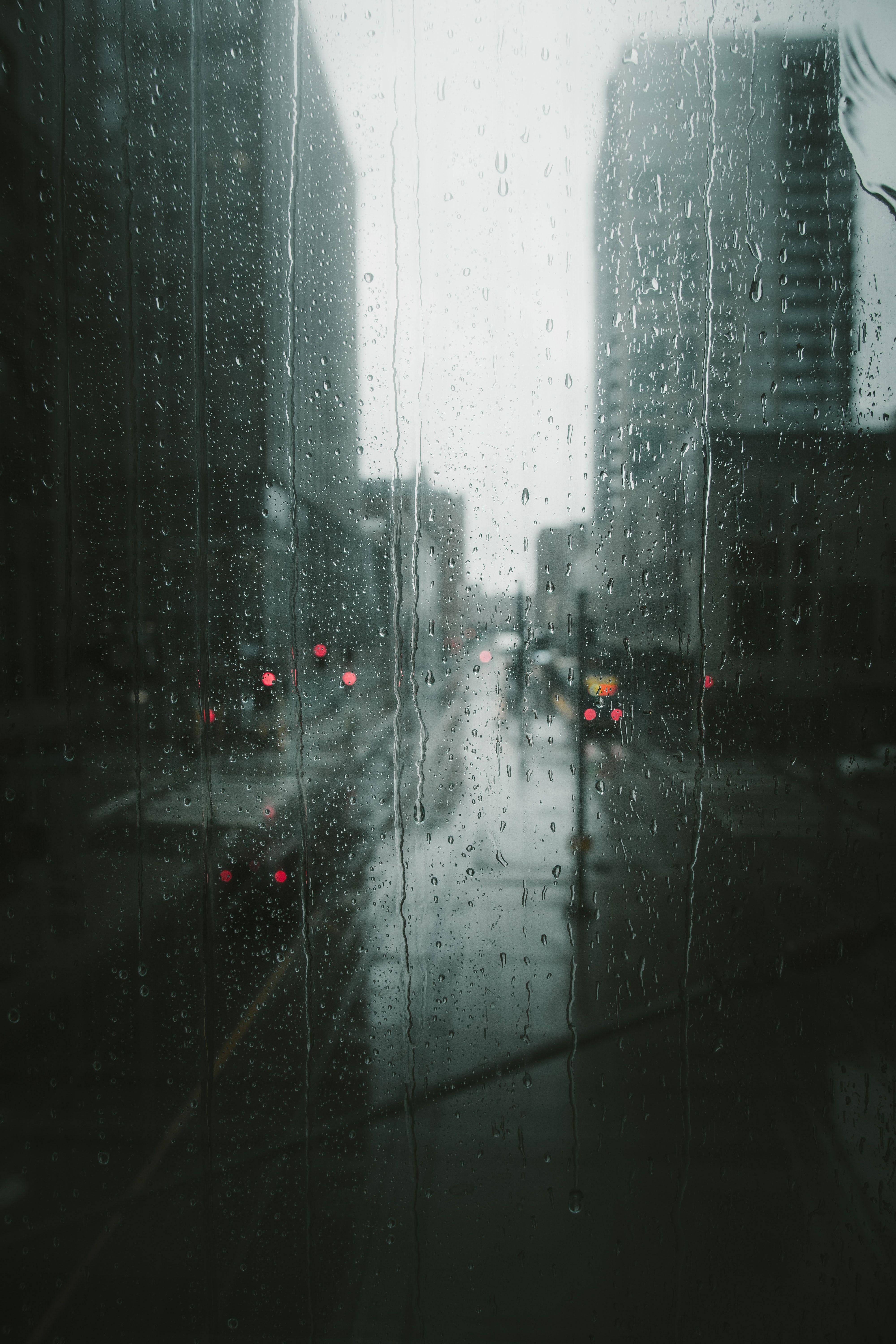 4000x6000 Rain Photo, Download The BEST Free Rain & HD Image