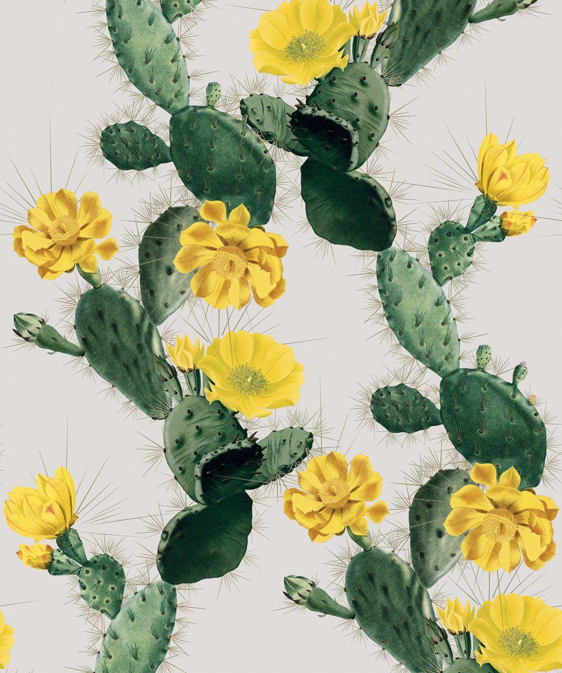 1100x1318 Alluring Cactus Wallpaper • Bold Bright Cacti Design
