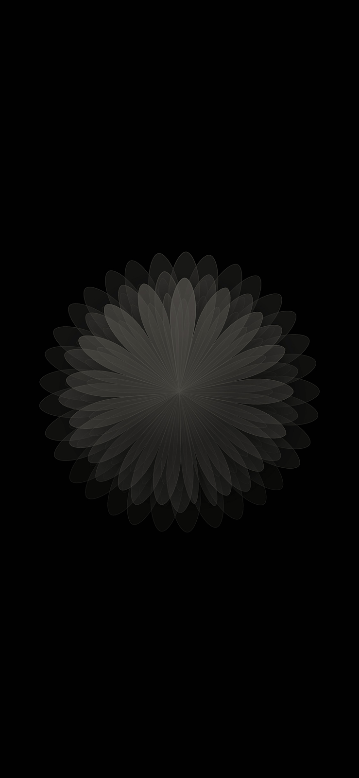 739x1600 Roman's Apple: iPhone X AMOLED coloured flower wallpaper black