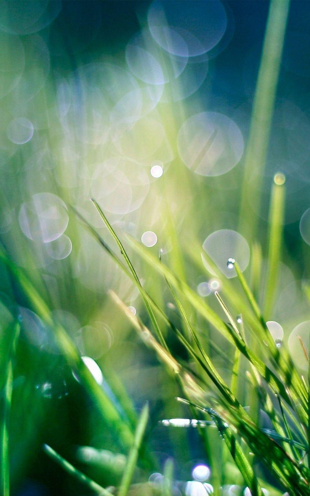 Grass Phone Wallpapers - Top Free Grass Phone Backgrounds - WallpaperAccess