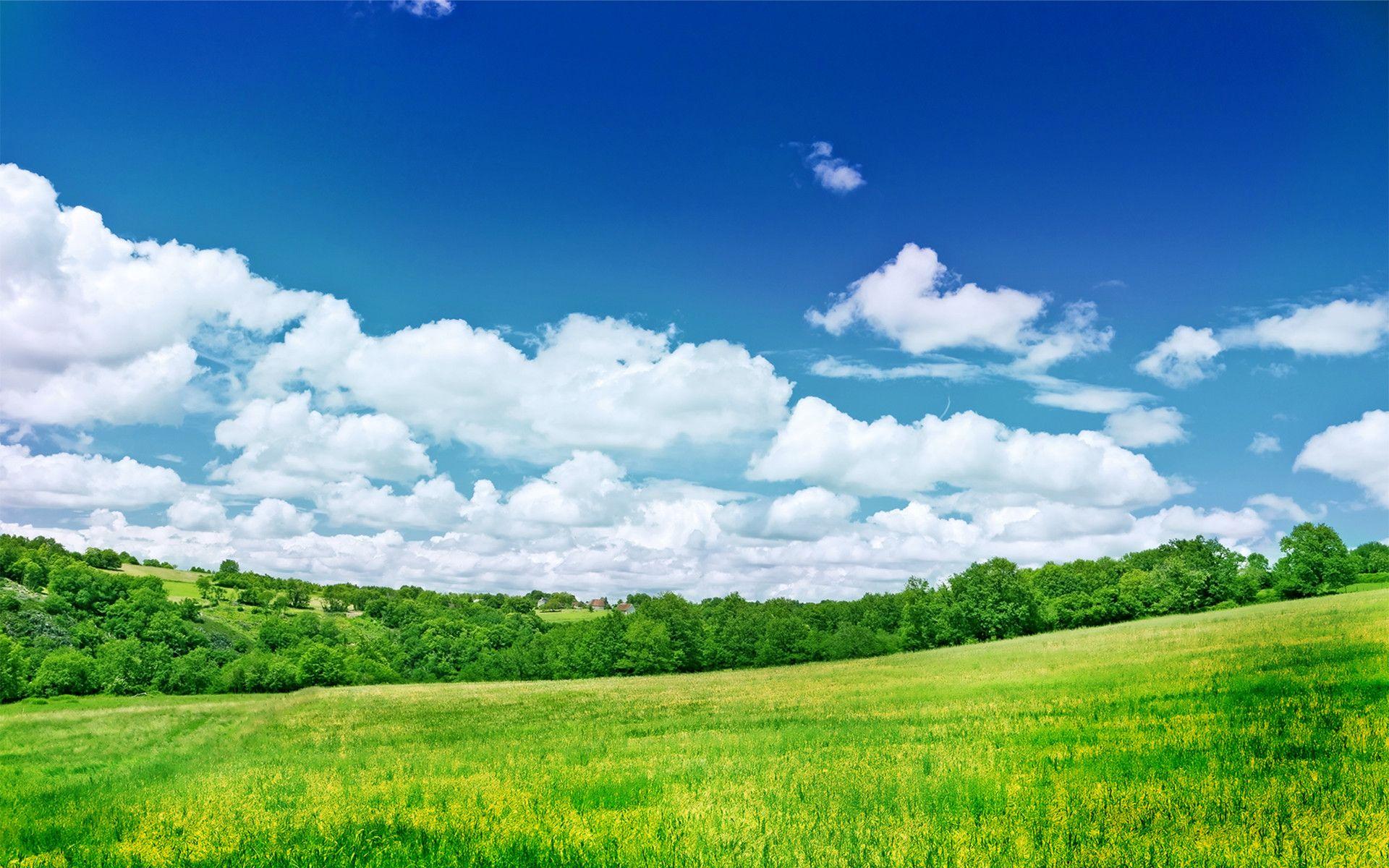 1920x1200 Clear HD Wallpaper