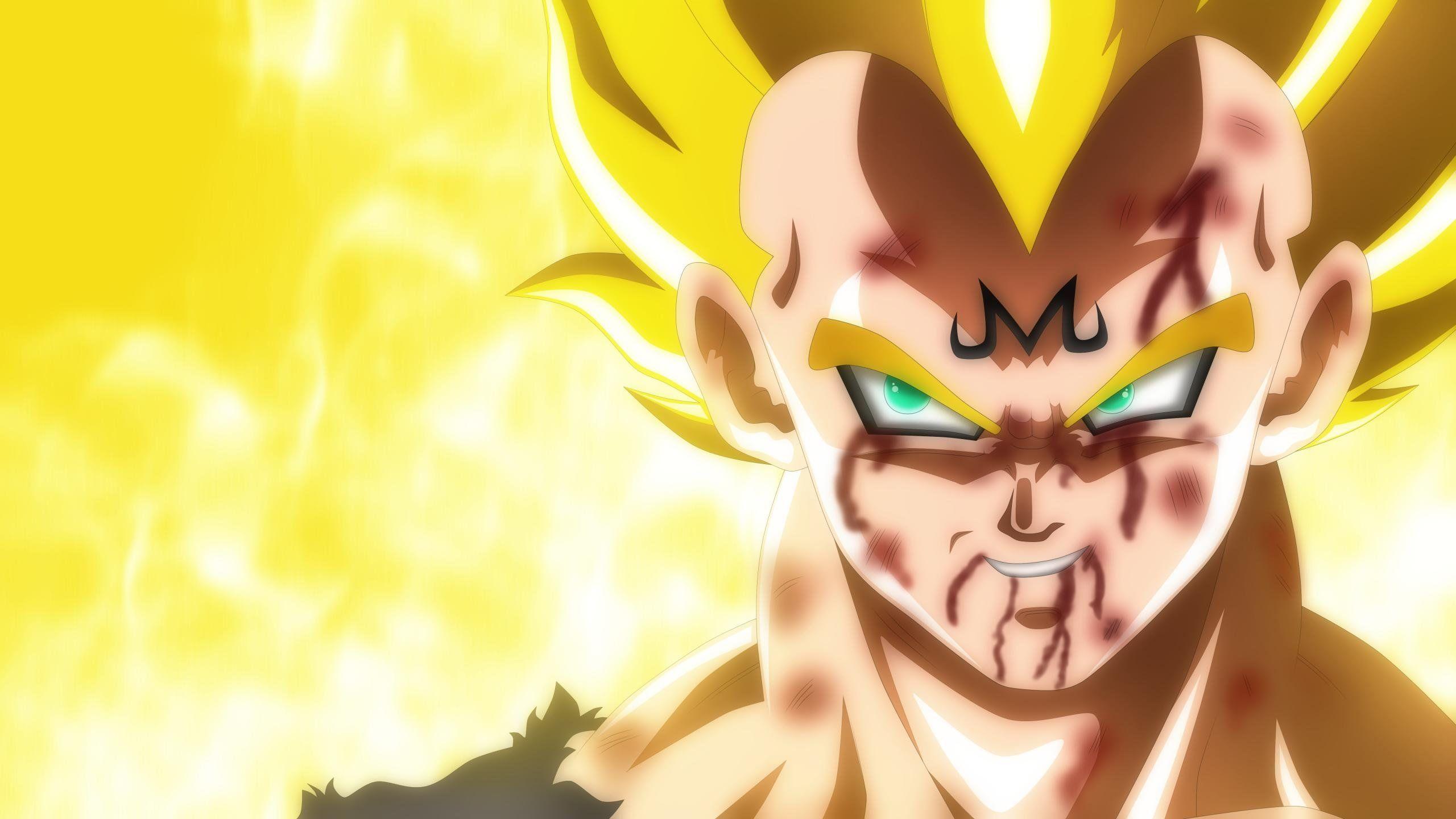 2560x1440 Awesome Vegeta Free Wallpaper Id Ball Z Retina